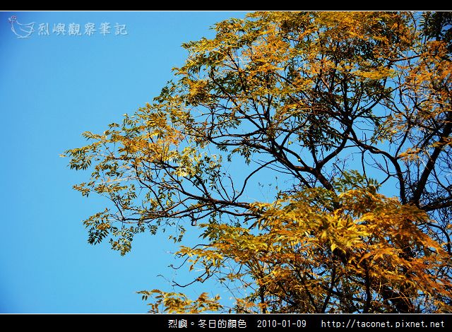 烈噢。冬日的顏色_04.jpg