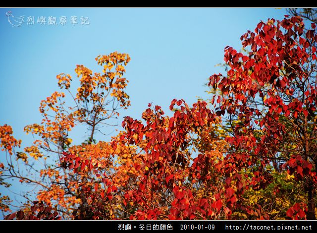 烈噢。冬日的顏色_03.jpg
