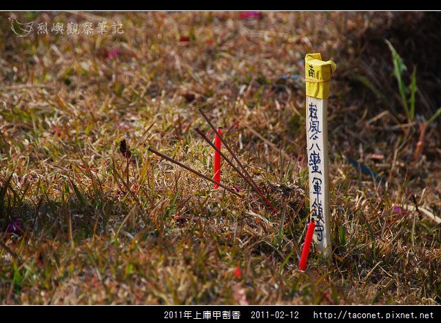 2011年上庫甲割香_32.jpg