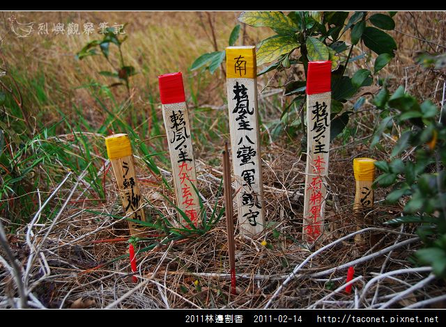 2011l林邊割香_38.jpg