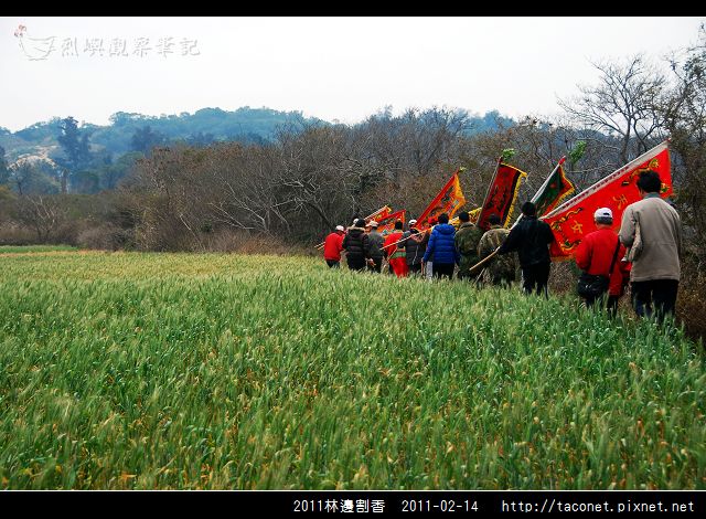 2011l林邊割香_26.jpg