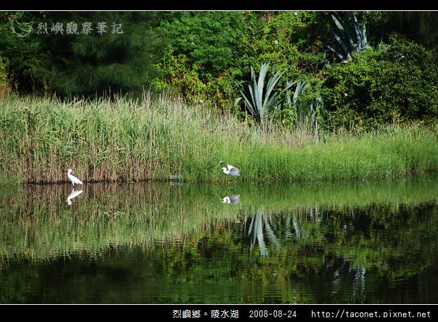 陵水湖_06.jpg