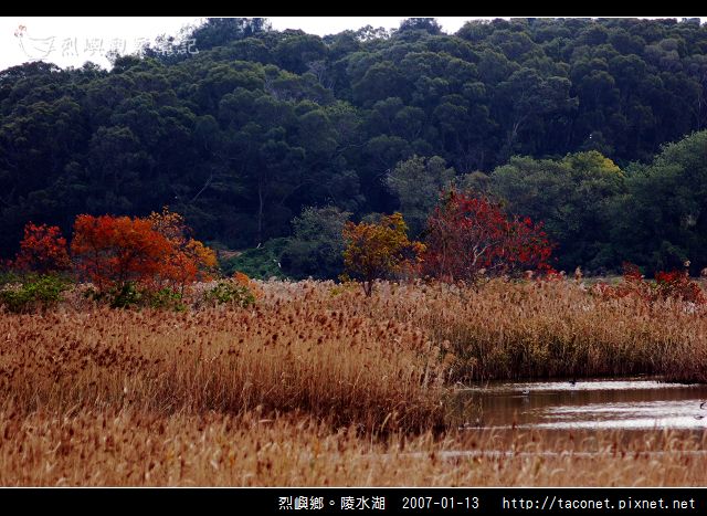 陵水湖_13.jpg
