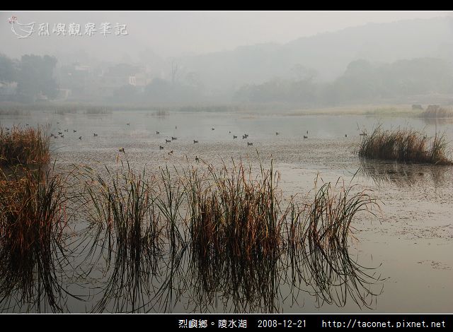 陵水湖_11.jpg