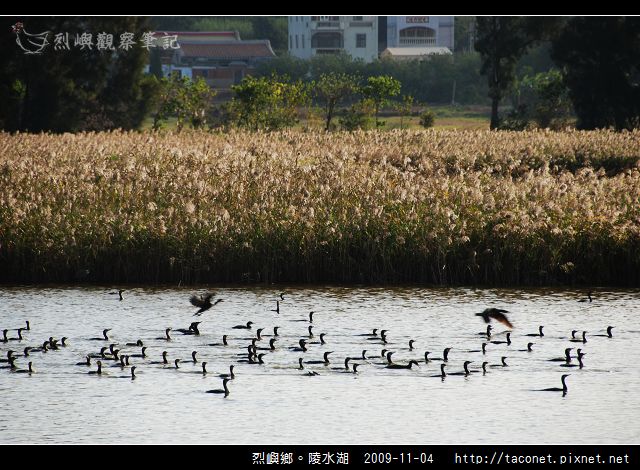 陵水湖_10.jpg