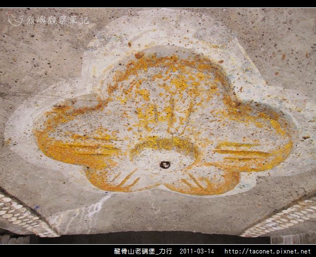 龍骨山老碉堡_力行_12.jpg
