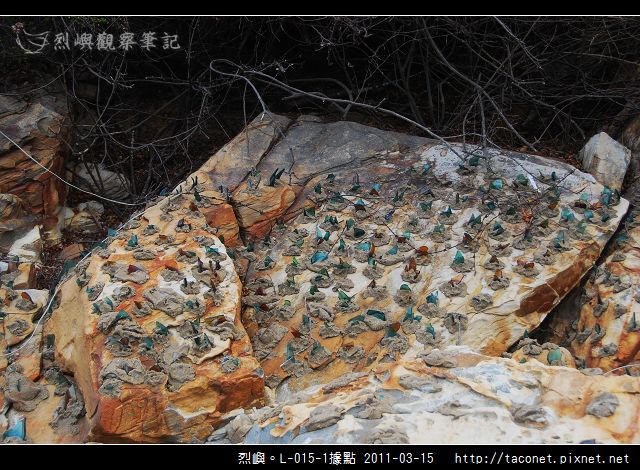 L-015-1據點_30.jpg