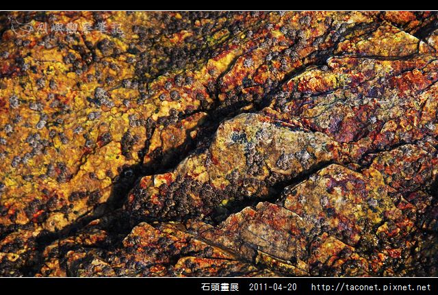 石頭畫展_35.jpg