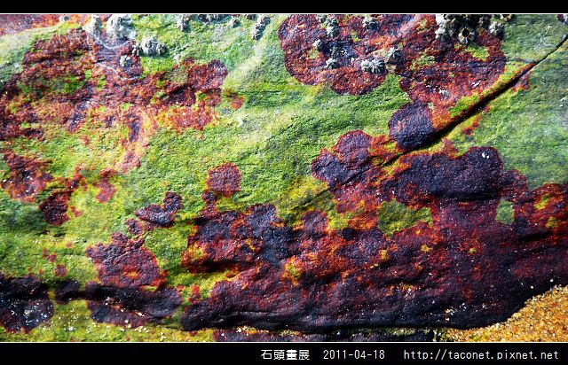 石頭畫展_06.jpg