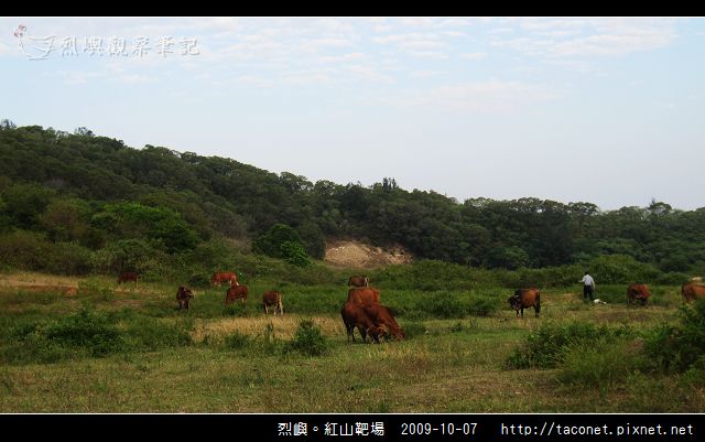 紅山靶場_08.jpg