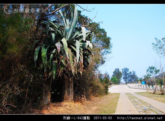 烈嶼。L-042據點_14.jpg