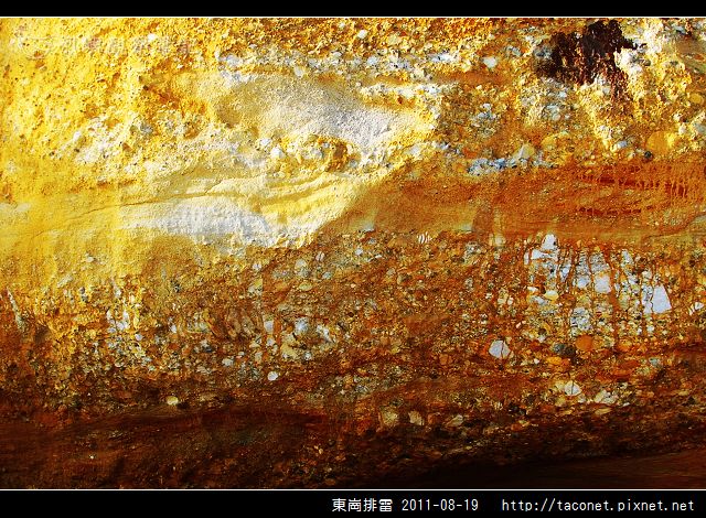 東崗排雷_29.jpg