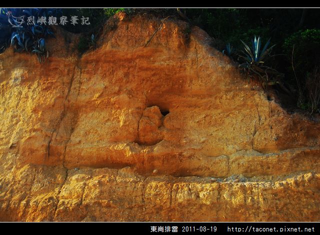 東崗排雷_17.jpg