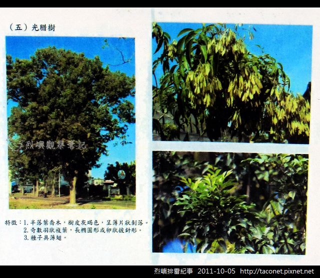 烈嶼排雷紀事_13.jpg