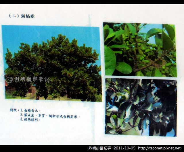 烈嶼排雷紀事_12.jpg