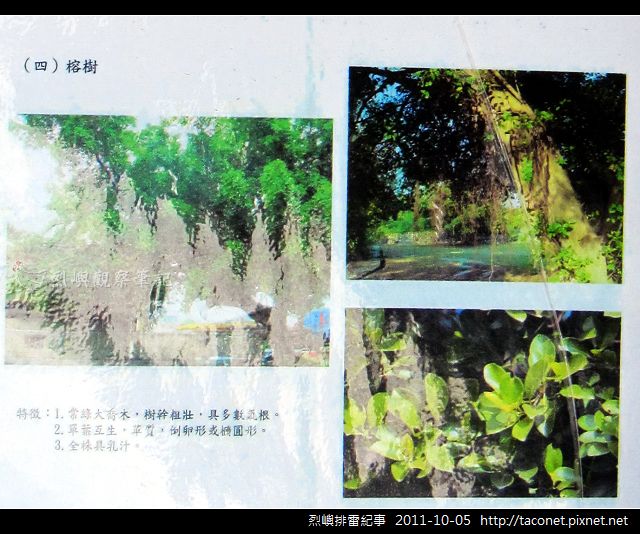 烈嶼排雷紀事_11.jpg
