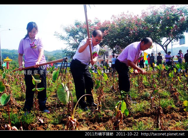 2011烈嶼芋頭節_13.jpg