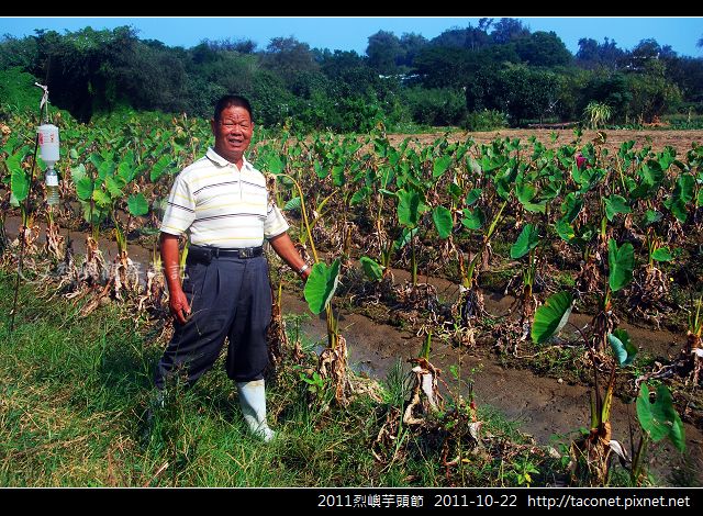2011烈嶼芋頭節_12.jpg