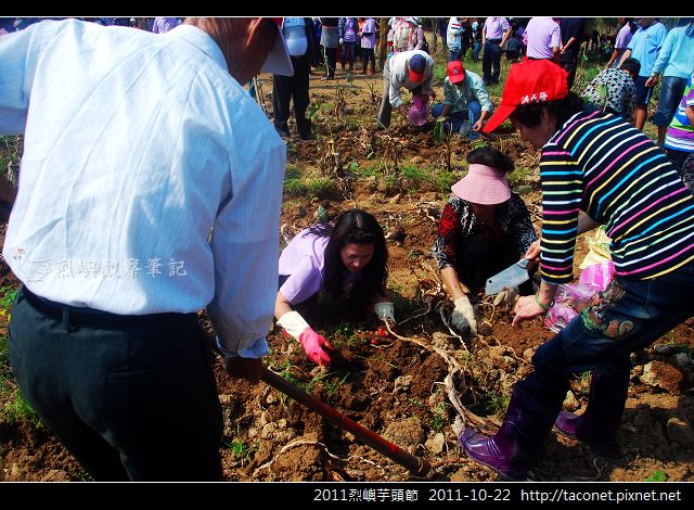 2011烈嶼芋頭節_20.jpg
