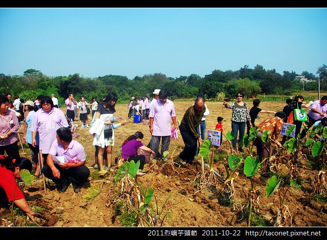 2011烈嶼芋頭節_18.jpg