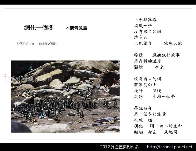 孫金星攝影作品_84.jpg