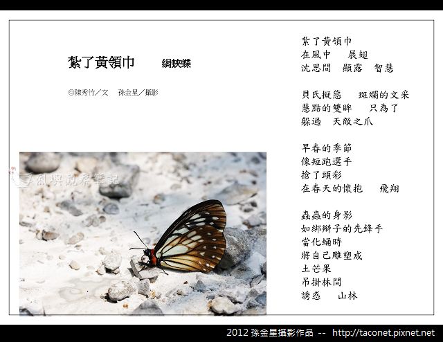 孫金星攝影作品_78.jpg