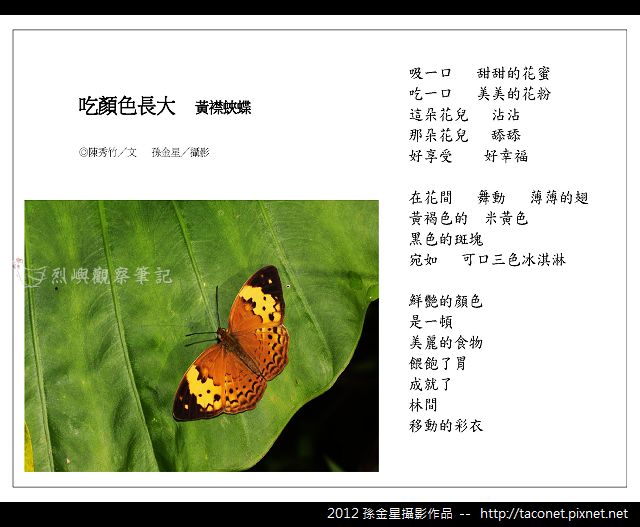 孫金星攝影作品_76.jpg