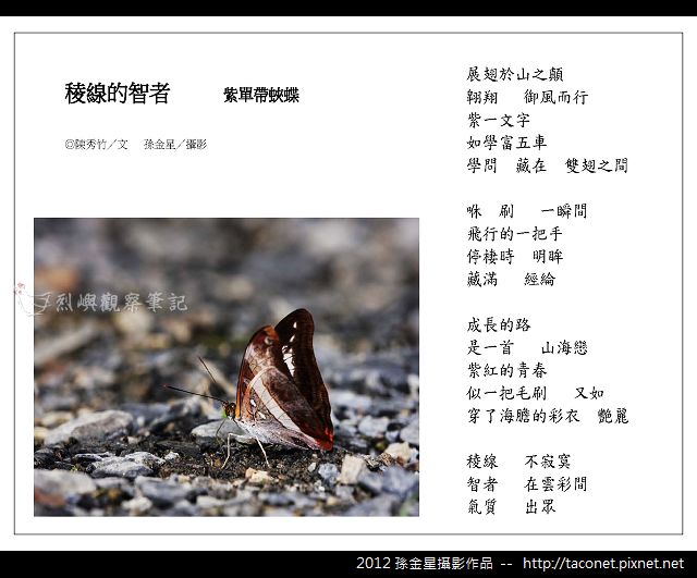 孫金星攝影作品_75.jpg