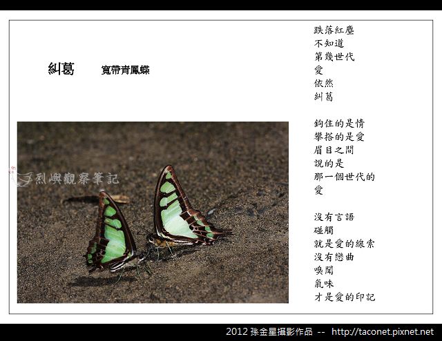 孫金星攝影作品_92.jpg