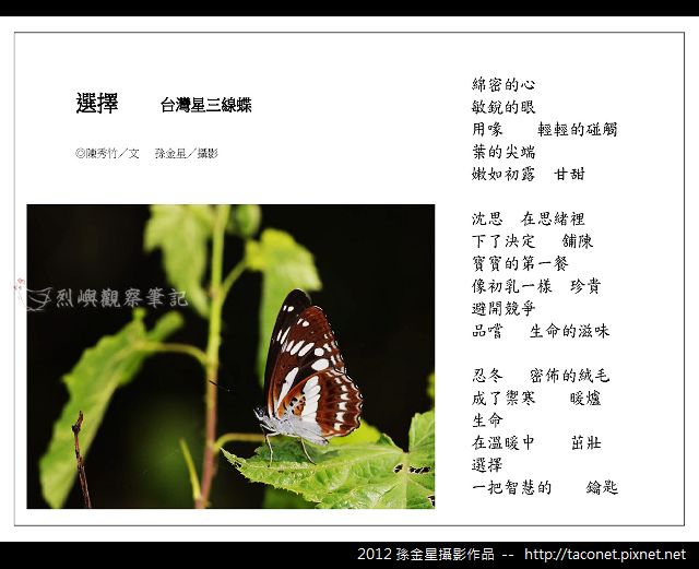 孫金星攝影作品_74.jpg