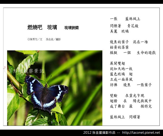 孫金星攝影作品_69.jpg