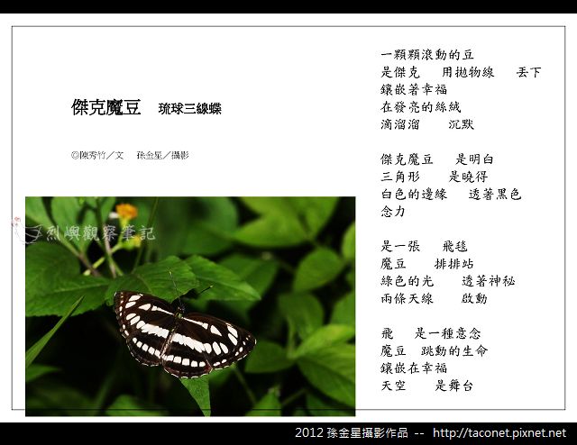 孫金星攝影作品_68.jpg