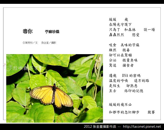 孫金星攝影作品_67.jpg