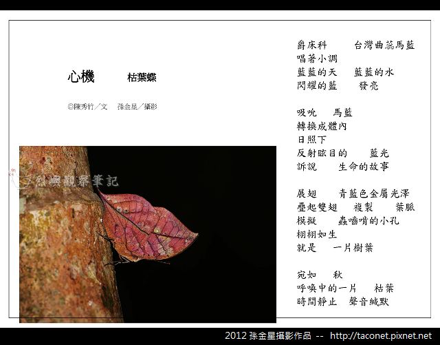 孫金星攝影作品_66.jpg