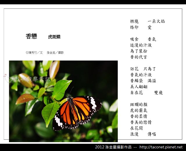 孫金星攝影作品_64.jpg