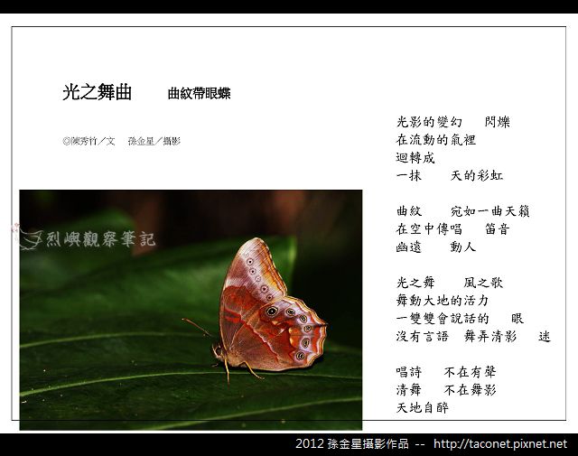 孫金星攝影作品_62.jpg
