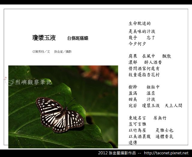 孫金星攝影作品_61.jpg