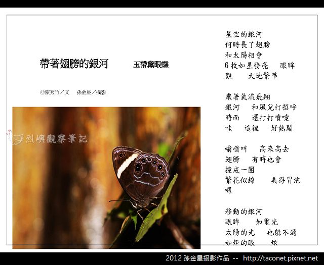 孫金星攝影作品_59.jpg