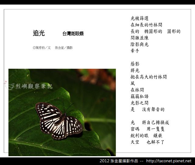 孫金星攝影作品_57.jpg