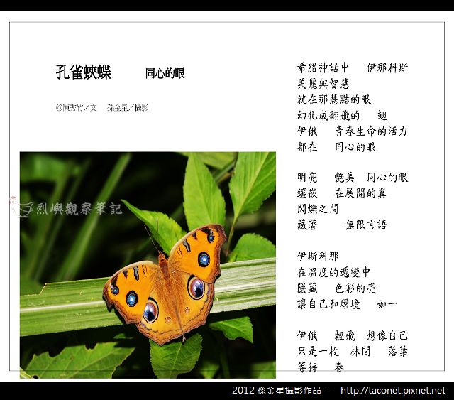 孫金星攝影作品_56.jpg