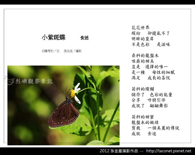 孫金星攝影作品_55.jpg