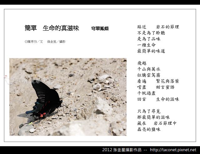 孫金星攝影作品_87.jpg