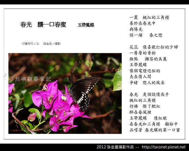 孫金星攝影作品_85.jpg