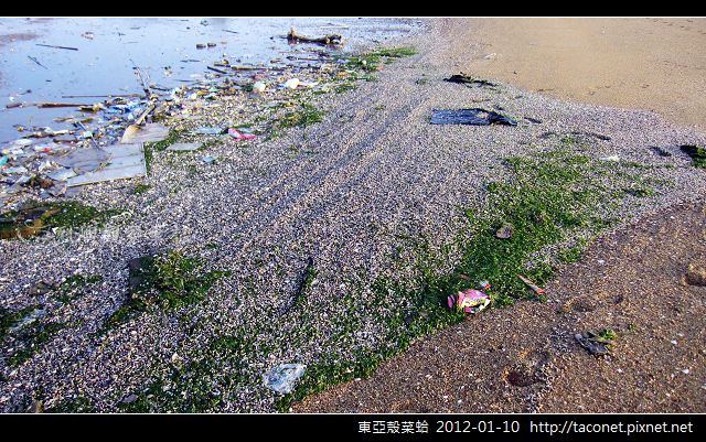 現代貝塚_22.jpg