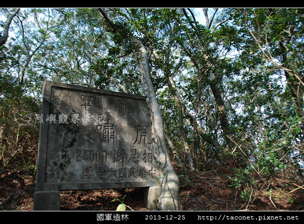 國軍造林_02.jpg