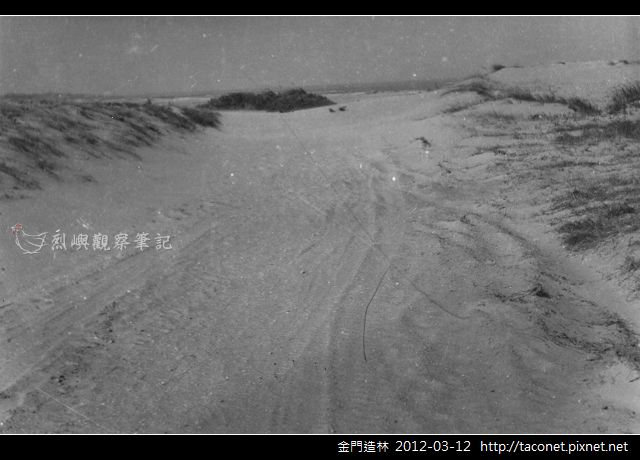 金門造林_17