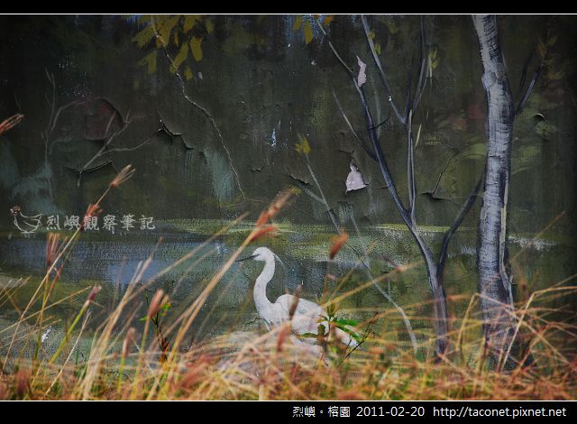 烈嶼。榕園_08
