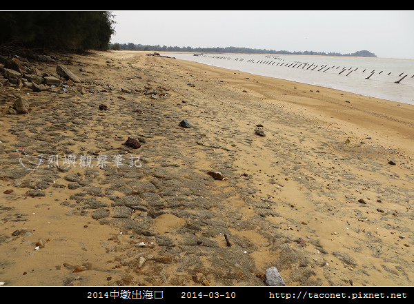 2014中墩出海口_02.jpg