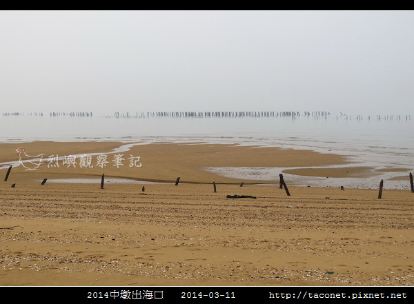 2014中墩出海口_06.jpg