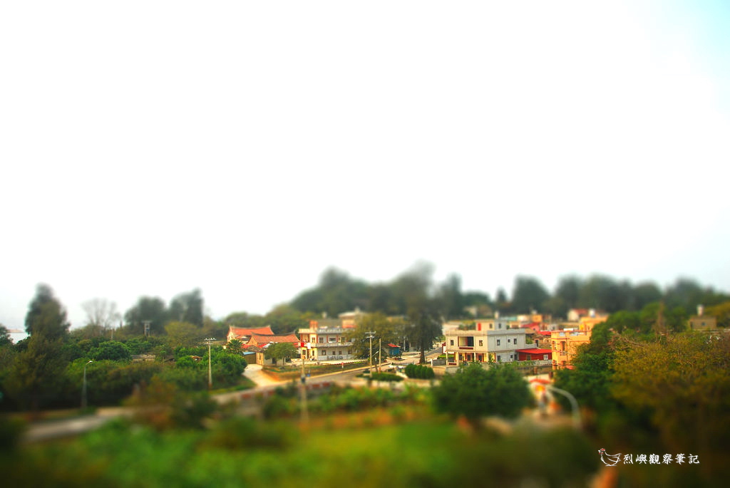 DSC_0956-tiltshift